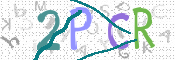 CAPTCHA kép